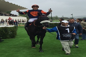 GRAN TORINO entrando al recinto de ganadores tras vencer en el premio Indian Prince 